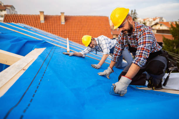 Residential Roof Replacement in Pearson, GA