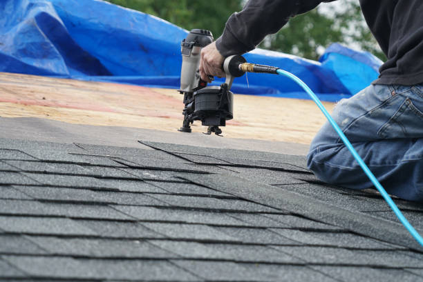 Best Local Roofing Companies  in Pearson, GA