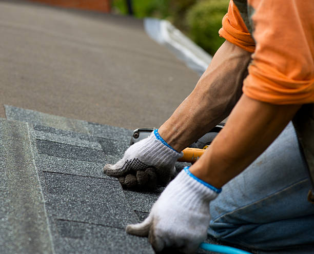 Best Gutter Installation and Roofing  in Pearson, GA