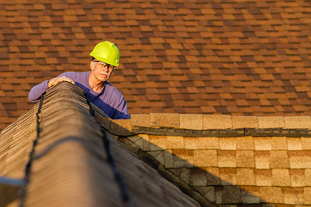 Best Roof Gutter Cleaning  in Pearson, GA